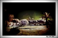 /album/fotogaleria-fotografia-infraroig/mg-8287-640x480-jpg1/